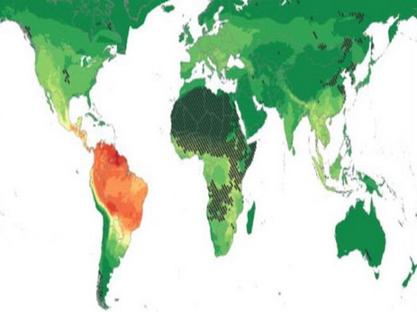 Ученые: Южная Америка таит угрозу здоровью человечества