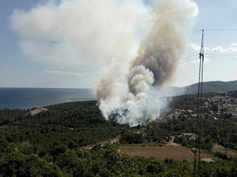 В Албании бушуют 18 природных пожаров