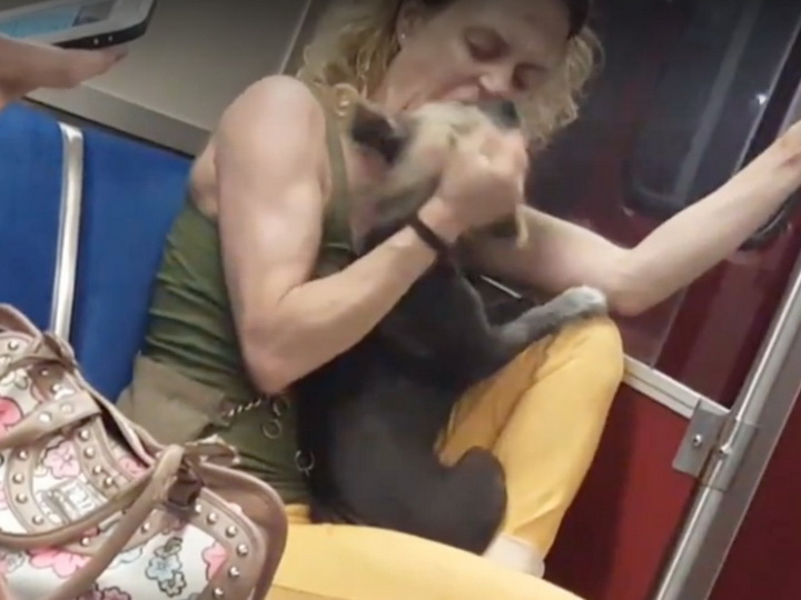 В метро Торонто хозяйка искусала свою собаку