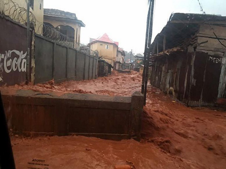 В Сьерра-Леоне 312 человек погибли из-за схода оползня
