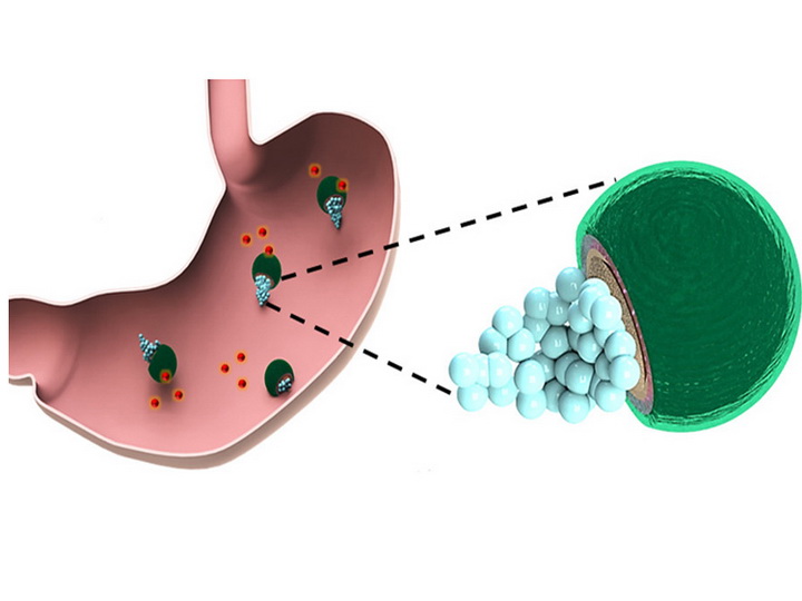 Язву желудка залечили крошечные роботы
