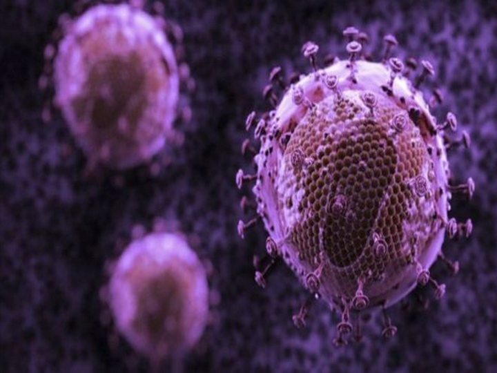 Ученые разработали антитела, убивающие 99% штаммов ВИЧ