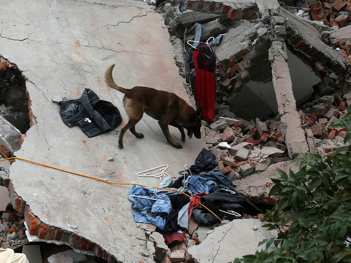 В Южной Корее более 50 человек пострадали при землетрясении