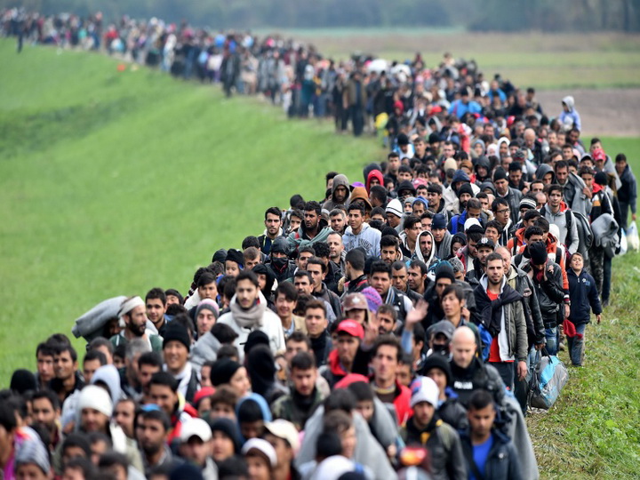 ООН заявила о росте числа мигрантов в мире
