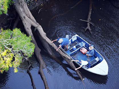 На Филиппинах крокодил съел мужчину, который пытался укрыть лодку от шторма