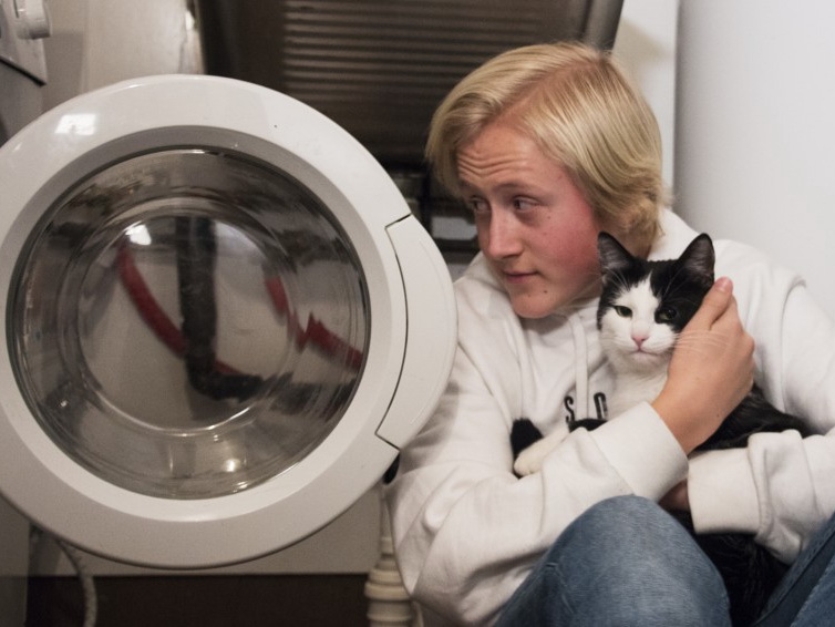 В Норвегии кот пережил 40 минут стирки в стиральной машине – ФОТО