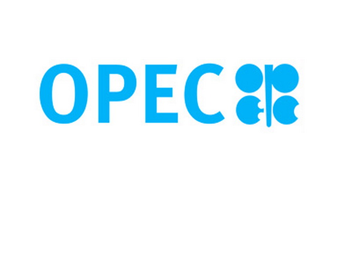 OPEC разработает механизм постоянного сотрудничества с нефтедобывающими странами