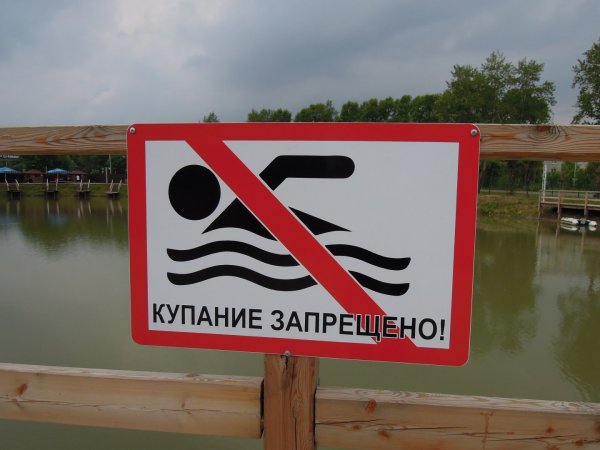 В Челябинске запретили купаться на 29 пляжах