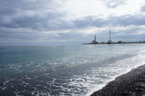 В Черном море появились ядовитые морские драконы