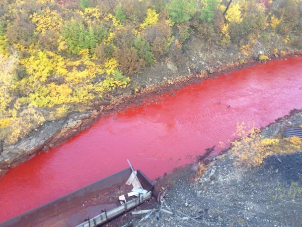 В Норильске река вновь стала «кровавой»