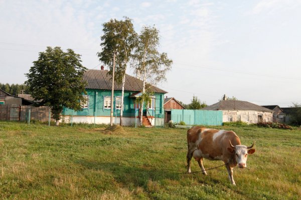 В Воронежской области 32 села претендуют на титул «самого красивого»