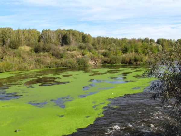 Ростовские водопроводчики придумали, как лишить воду неприятного запаха