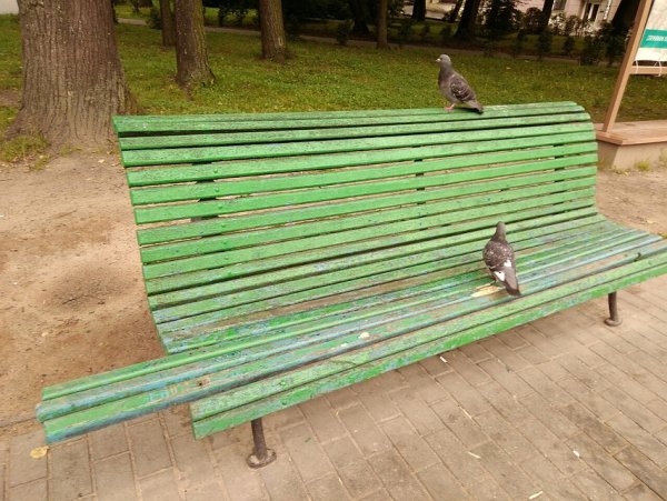 В Великих Луках появилась скамейка с удивительным дизайном