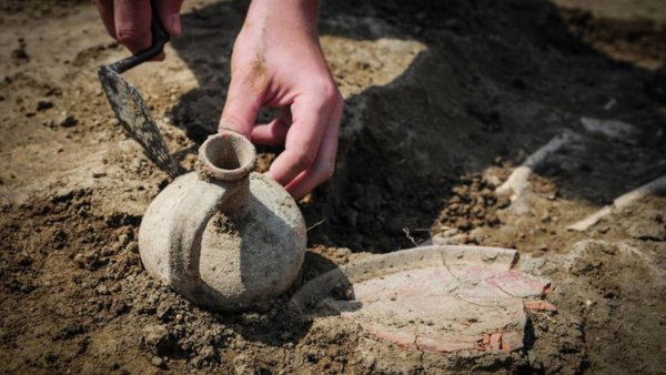 Польско-украинское объединение нашло ценные артефакты древней Ольвии