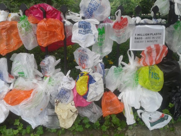 Новая Зеландия поэтапно откажется от использования одноразовых пластиковых пакетов
