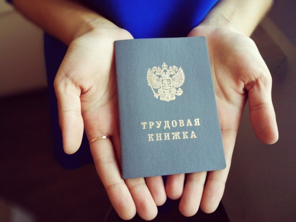 Минтруд планирует обеспечить треть россиян электронными трудовыми книжками к 2020 году