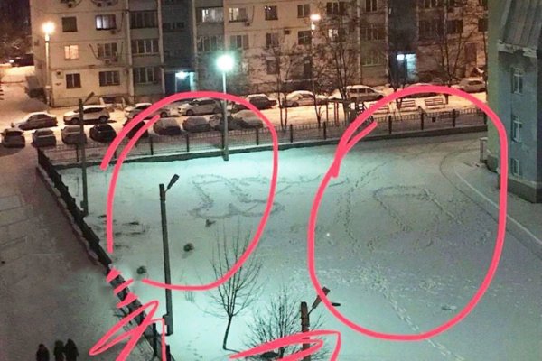 Инопланетяне оставили в Ростове загадочные картинки в виде половых органов