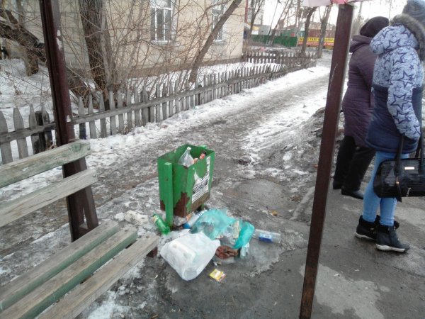 «Свиньи» встретили старый Новый год в Ростове