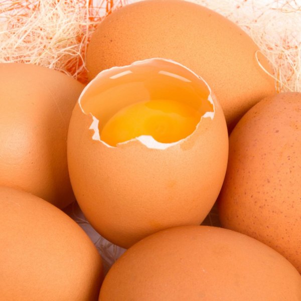 Фотография куриного яйца бьет рекорды в Instagram