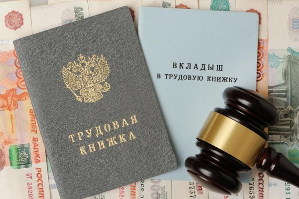 Россиянам оцифровали трудовые книжки - будущее наступило?